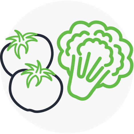 hydro vegetables logo