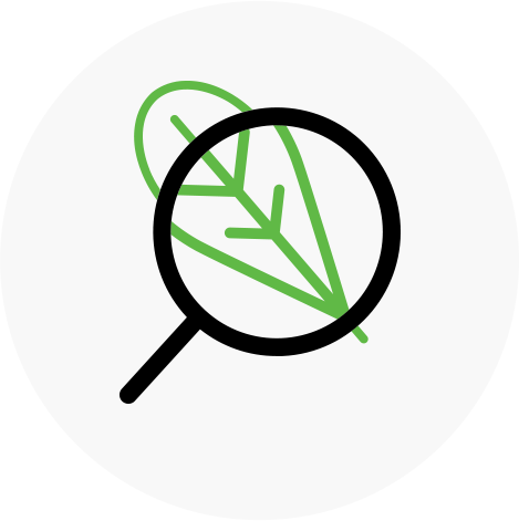 rd-govt logo